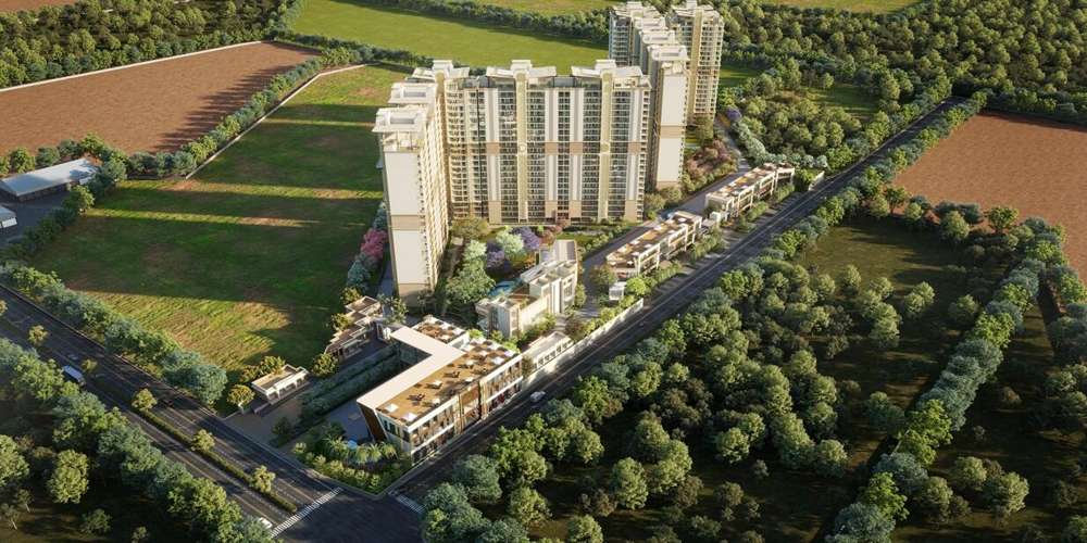 Affinity Belgravia