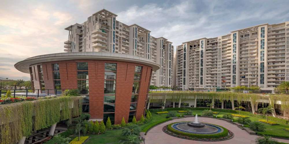 JLPL Falcon View